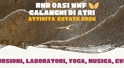 Calanchi in Estate 2026. Un’ Oasi di bellezza ed esperienze.